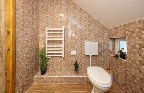 Moieciu Cabina | Casa Calatorului Rasnov