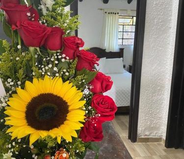 Boyaca Chalet De Esquí | Casa campestre villa de los santos