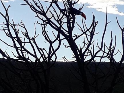 Lapinha da Serra Casa | Casa Canela de Ema