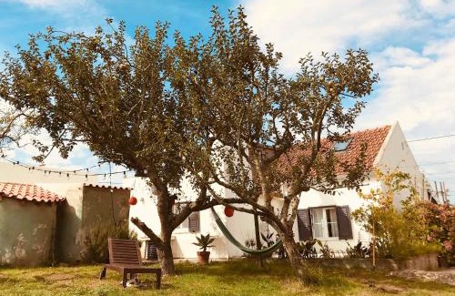 Lourinha Casa | Casa Cao Verde Charmantes Landhaus mit Garten