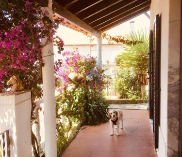 Lourinha Casa | Casa Cao Verde Charmantes Landhaus mit Garten