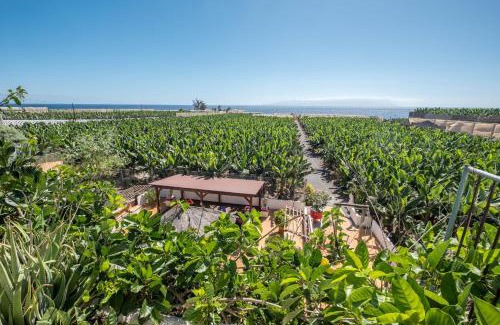 Alcala Casa | Casa Cardón - Villa Perenquén