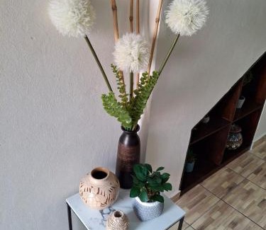Santa Ana Apartamento | Casa Centro Histórico Santa Ana