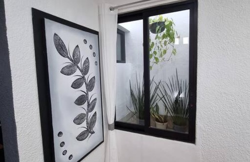 Centro Casa | Casa Chelly Downtown Mérida