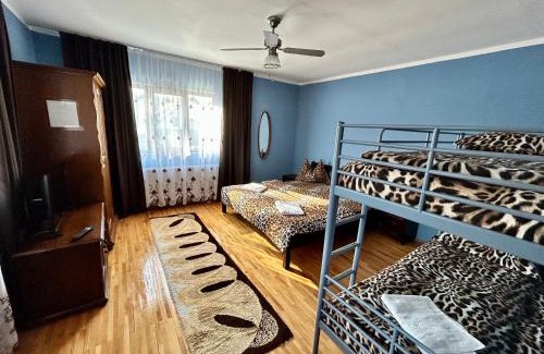 Ocna Sugatag Casa | Casa Chindris