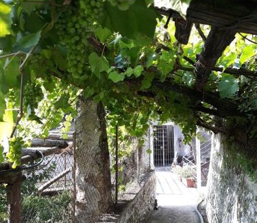 Maiori Casa | Casa Clotide