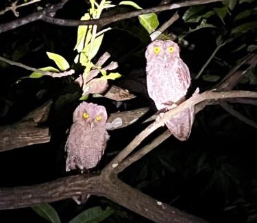 Quebrada Grande Casa | Casa Colibrí