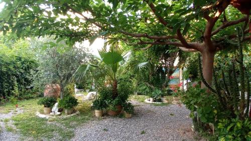 Burriana Casa | Casa con jardín frente Playa de Burriana