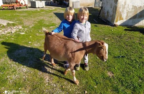 Mora d'Ebre Apartamento | Casa con vistas, piscina y animales de granja, LA CASETA