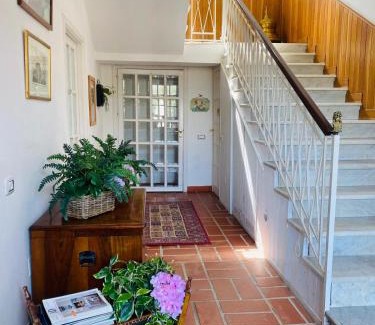Pontecagnano Faiano Cama Y Desayuno | Casa Consalvo B&b