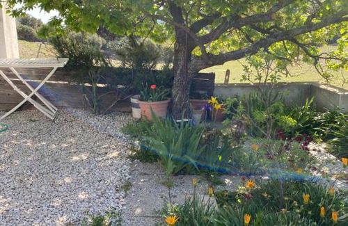 Oliena Casa | Casa Corofulu Oliena - IUN P2139