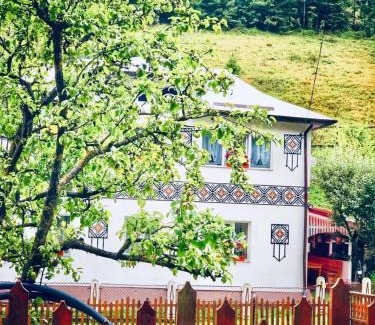 Ciocanesti Casa | Casa Craciun Ciocanesti