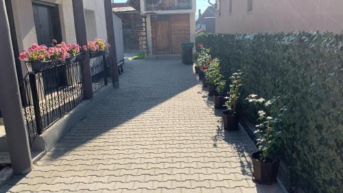 Toplita Apartamento | Casa Crisan