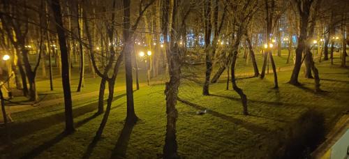Copou Apartamento | Casa cu Bolta
