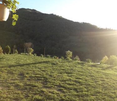 Vidra Casa | Casa cu Muscate