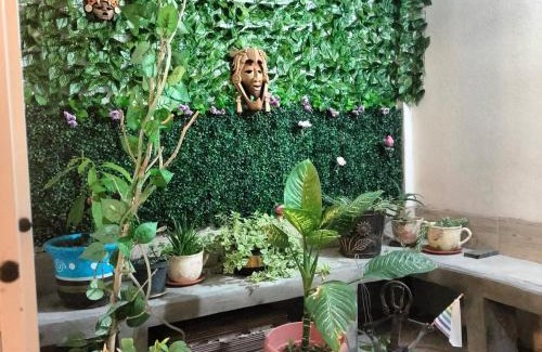 Mineral de la Reforma Casa | Casa Cualli