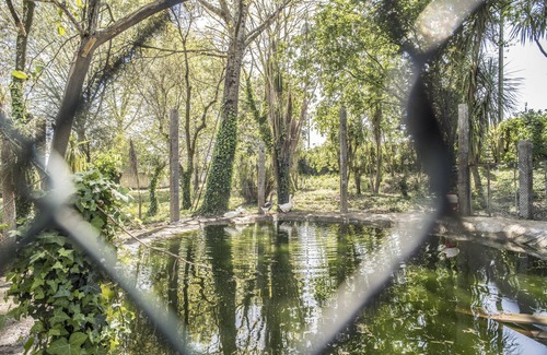 Portela Casa | Casa das Amendoeiras