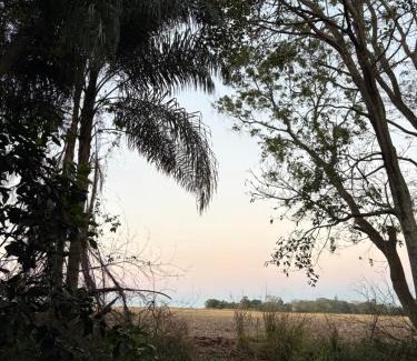 Foz do Iguacu Otro | Casa da Árvore