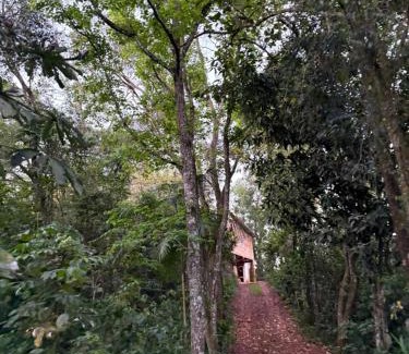 Foz do Iguacu Otro | Casa da Árvore