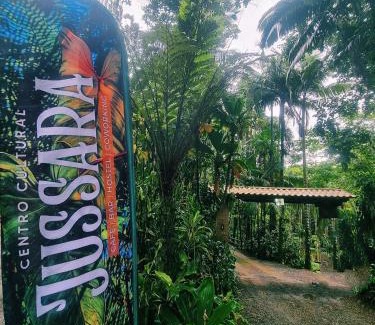 Joinville Otro | Casa da Árvore - Jussara Cultural