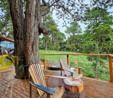 Alto da Boa Vista Chalet De Esquí | Casa da Árvore - ManTeQuiero