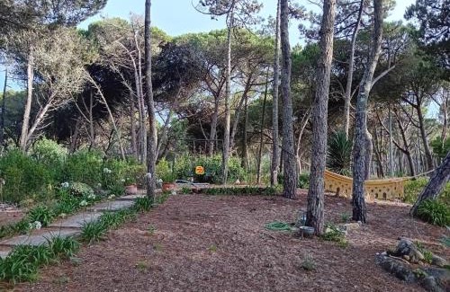 Mucifal Casa | Casa da Âncora