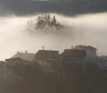 Moitas Casa | Casa da Carvalha - Ádela