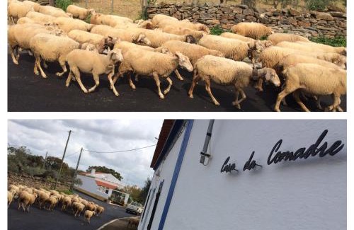 Sao Pedro do Corval Casa | Casa da Comadre - Casas de Taipa