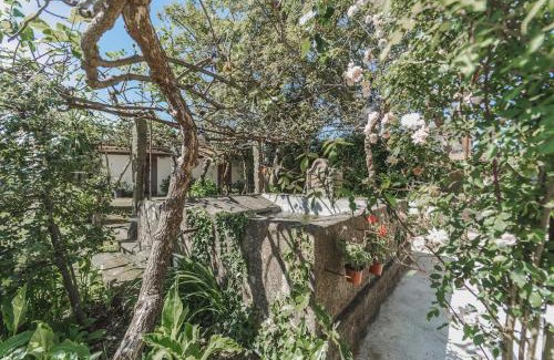 Barcelos Casa | Casa da Luisinha - Country House - Country House