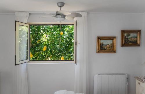 Barcelos Casa | Casa da Luisinha - Country House - Country House
