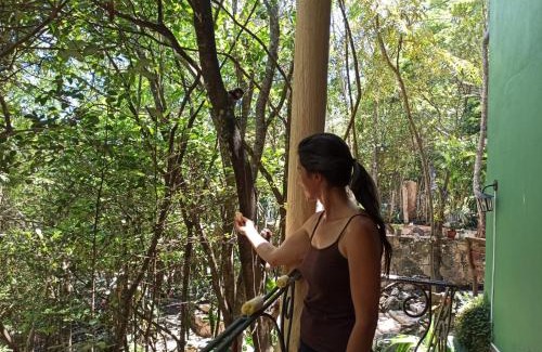 Ibicoara Casa | CASA DA MATA descanso e sossego na natureza