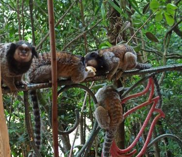 Ibicoara Casa | CASA DA MATA descanso e sossego na natureza