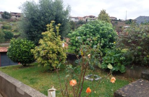 Molares Casa | Casa da Oliveira
