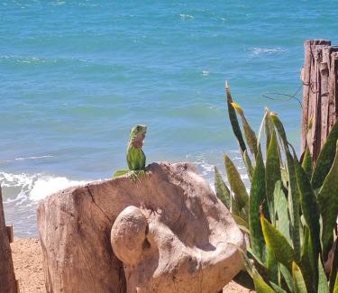 Icapui Casa | Casa da Peroba Sol - Pé na Areia - Praia da Peroba - Icapuí