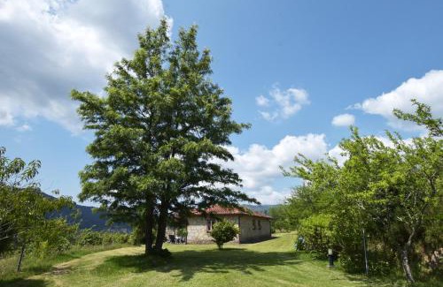 Cossourado Casa | Casa da Ramada, Turismo Espaço rural.