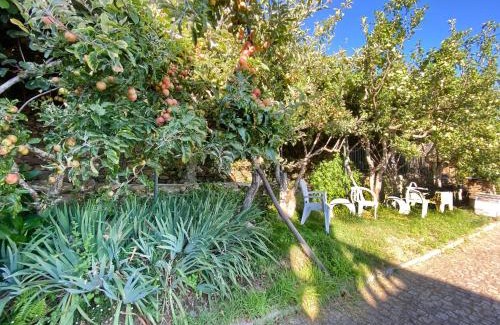 Unhais da Serra Apartamento | Casa da Risca