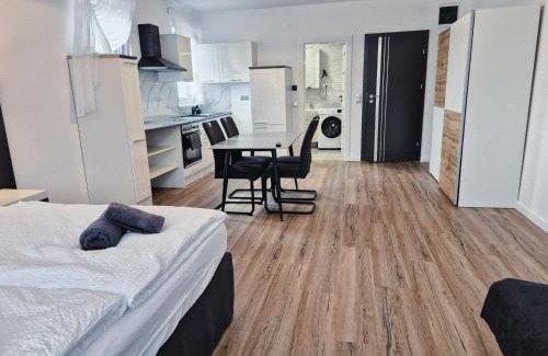 Sanmartin Apartamento | Casa da Vinci