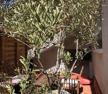 Marseillan Apartamento | CASA DAHLIA - Charmant appartement équipé avec grande terrasse