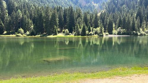 Commezzadura Casa | Casa Daolasa Val di Sole Trentino