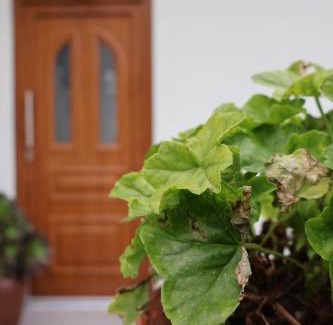 Canicada Cama Y Desayuno | Casa Das Chães