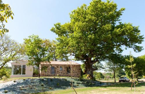 Chantada Casa | Casa das Landras