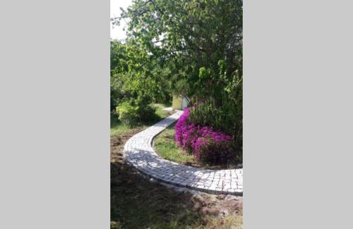 Penafiel Casa | casa das laranjeiras