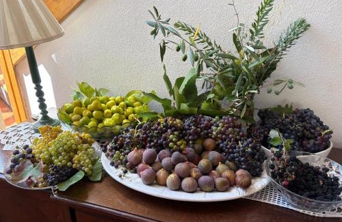 Manteigas Casa | Casa das Oliveiras - Manteigas