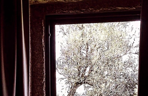 Povoa de Lanhoso Cabaña | Casa das Oliveiras
