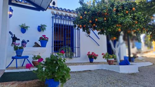Cabra Casa | Casa de Ángel Balconcillo a La Subbética