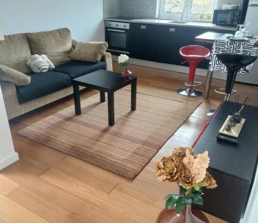 Paredes de Coura Apartamento | Casa de Baixo