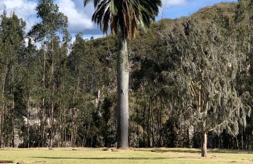 Chimborazo Province Casa | Casa de campo