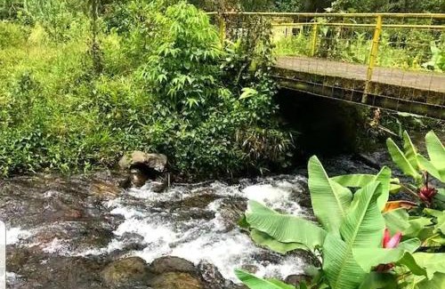 Mindo Casa | Casa de campo en el bosque de Mindo, junto al río
