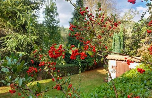 Puente Viesgo Casa | CASA DE CAMPO LAS ROZAS
