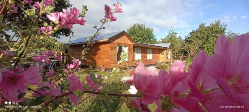 Llifen Apartamento | Casa de campo Llifén Futrono Lago Ranco